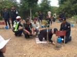 ปลูกป่า